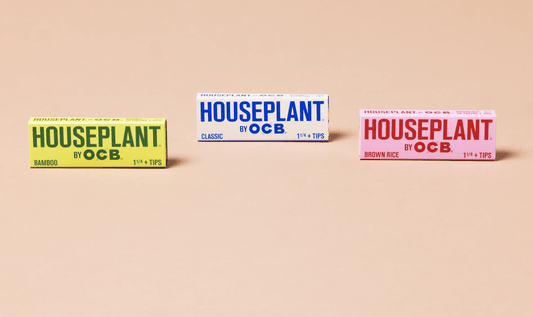 Houseplant OCB Papers + Tips - Glassets